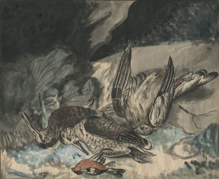 Excellent 1772 Watercolour - Dead Birds