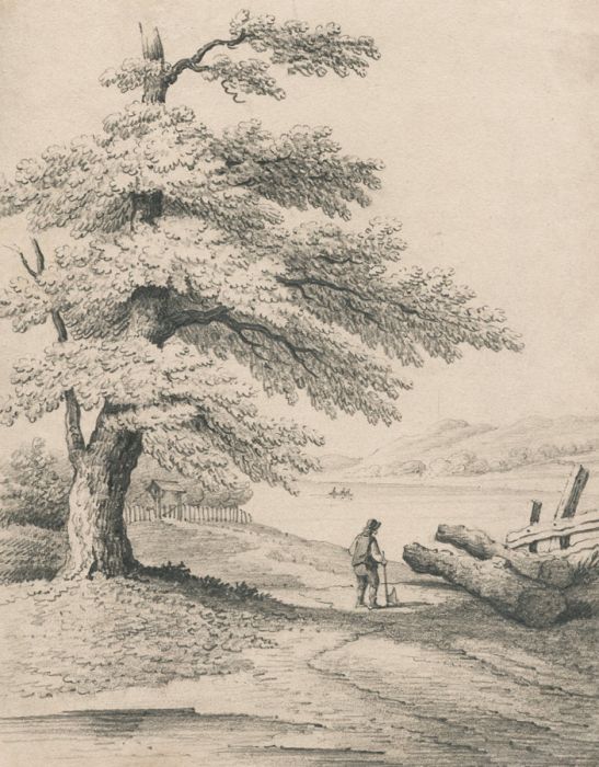 Excellent Mid 19th Century Graphite Drawing