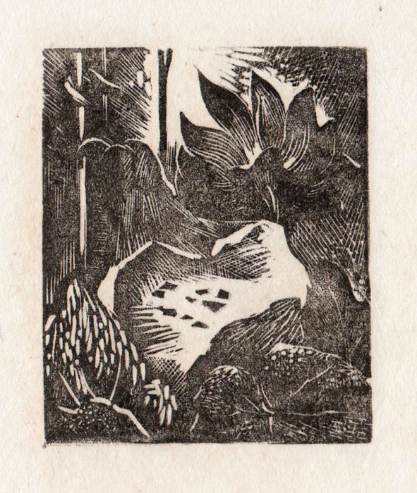 Gerald Coles - Mid 20th Century Woodcut, Floral Scene