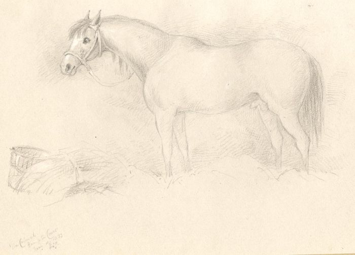 Lord Francis Leveson-Gower - 1833 Graphite Drawing, Horse at Hampton Court