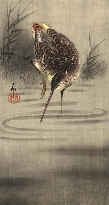 Very Fine 19th Century Oriental Woodblock - Japanese Bird
