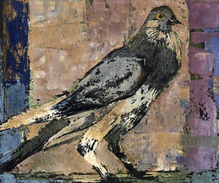 Contemporary Mixed Media - A Pigeon