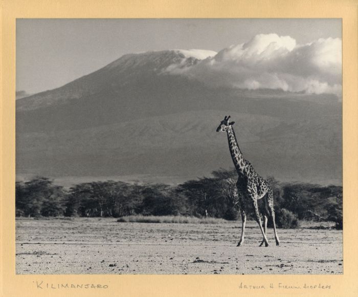 Arthur H Firmin - Mid 20th Century Photograph, Ruwenzori