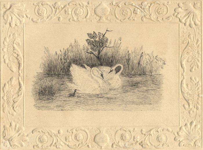 19th Century Graphite Drawing - Swans