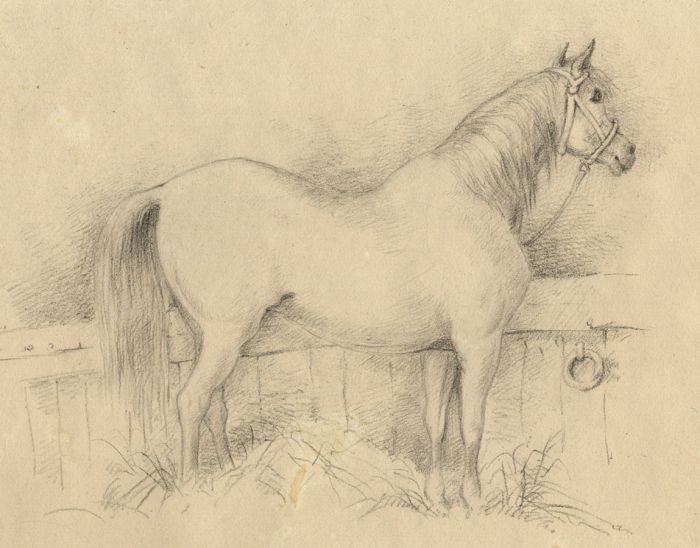 Lord Francis Leveson-Gower - 1833 Graphite Drawing, Arabian Horse Hampton Court