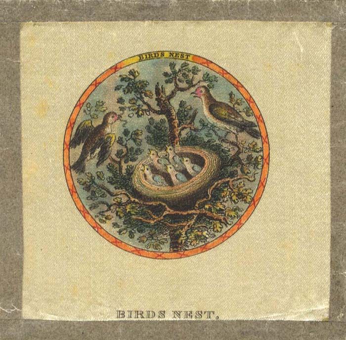 Bird's Nest Hand Painted Etching on Silk 19th Century