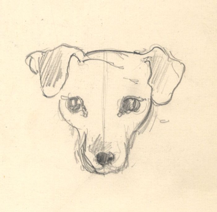 Millicent L. Woodforde - 1905 Graphite Drawing, Dog