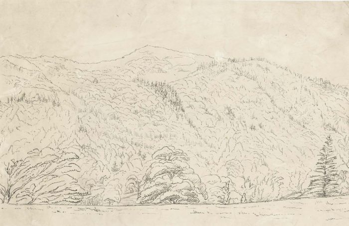 19th Century Pen and Ink Drawing
