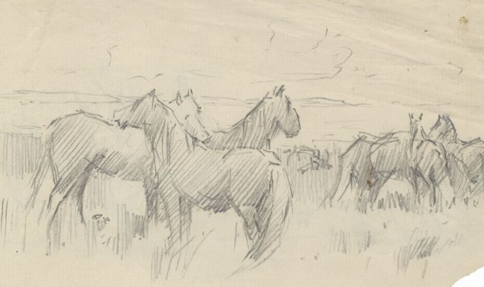Joseph Harold Swanwick - Early 20th Century Graphite Drawing, Horses in Field