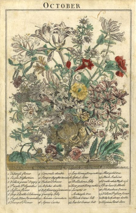James Smith - 1732 Engraving, Flower Garden Displayed by Robert Furber