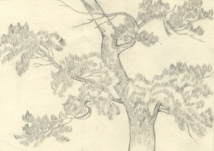 Lilly Gosset - 19th Century Graphite Drawing, Tree
