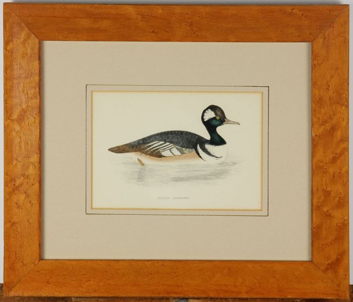 Early 20th Century Picture Frame - Birdseye Maple Frame with Etching of Duck