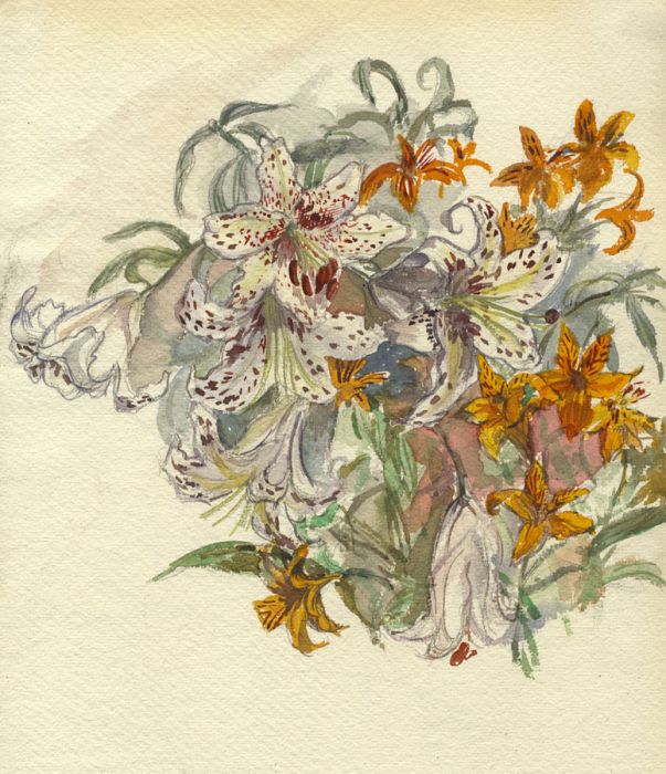 Violet Hilda Drummond - Early 20th Century Watercolour, Lilies