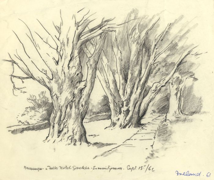 Adrian Hill - 1961 Charcoal Drawing, Macrocarpa Trees, Ennistymon, Ireland
