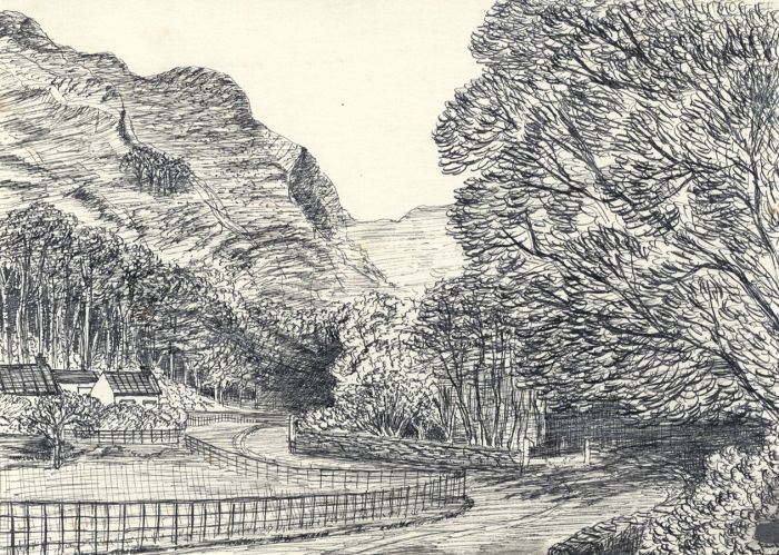Elizabeth Painter - Contemporary Pen and Ink Drawing, Country Road