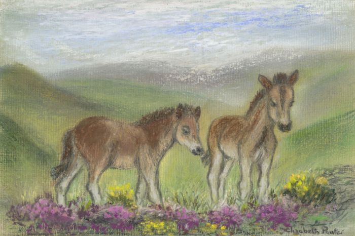 Elizabeth Painter - Contemporary Pastel, Ponies on Exmoor