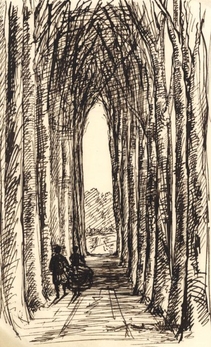 Mid 19th Century Pen and Ink Drawing - Tree-lined Path