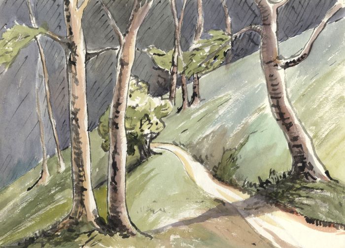V. Stone - Double-Sided Early 20th Century Watercolour, Path with Trees