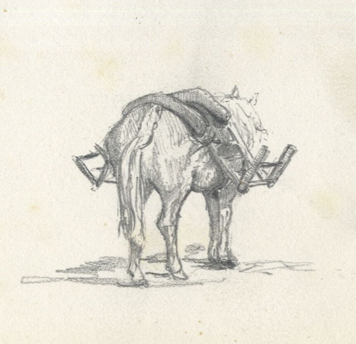 Small Mid 19th Century Graphite Drawing - Work Horse