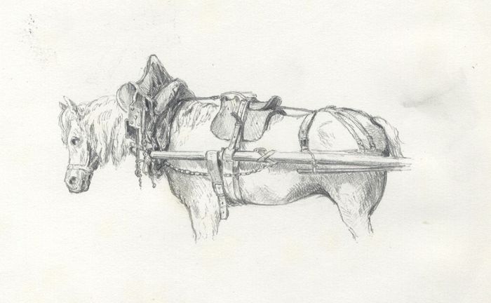 Mid 19th Century Graphite Drawing - Carthorse