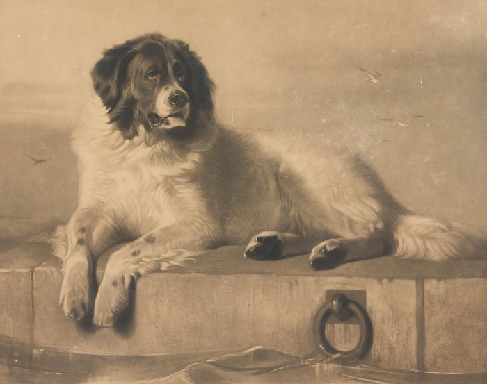 Thomas Landseer - 1853 Mezzotint, A Distinguished Member of the Humane Society