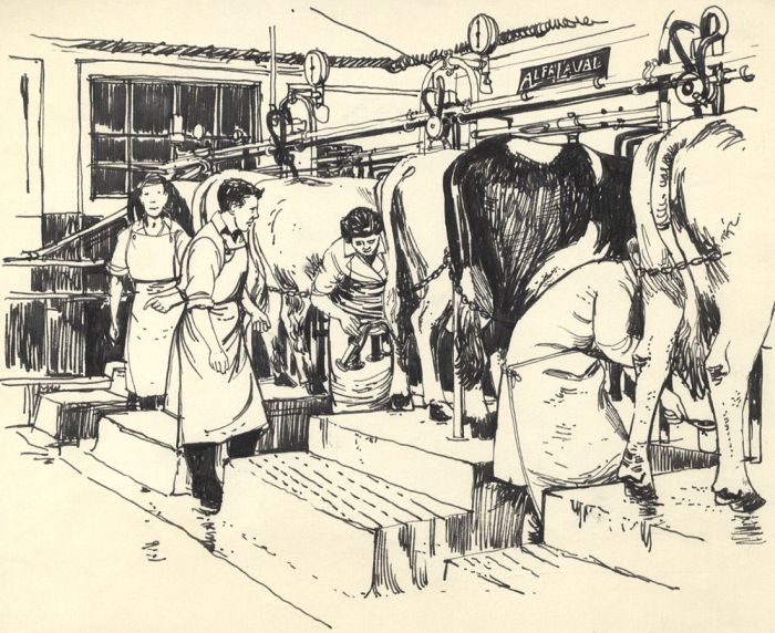 Paul Sharp - Mid 20th Century Pen and Ink Drawing, At the Dairy