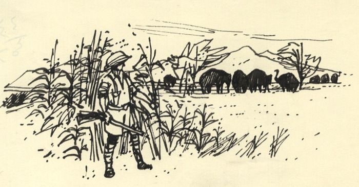 Paul Sharp - Mid 20th Century Pen and Ink Drawing, Hunting Scene