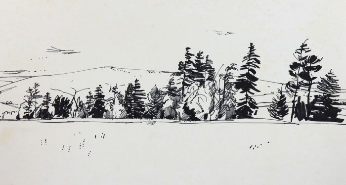 Paul Sharp - Mid 20th Century Pen and Ink Drawing, Tree Line