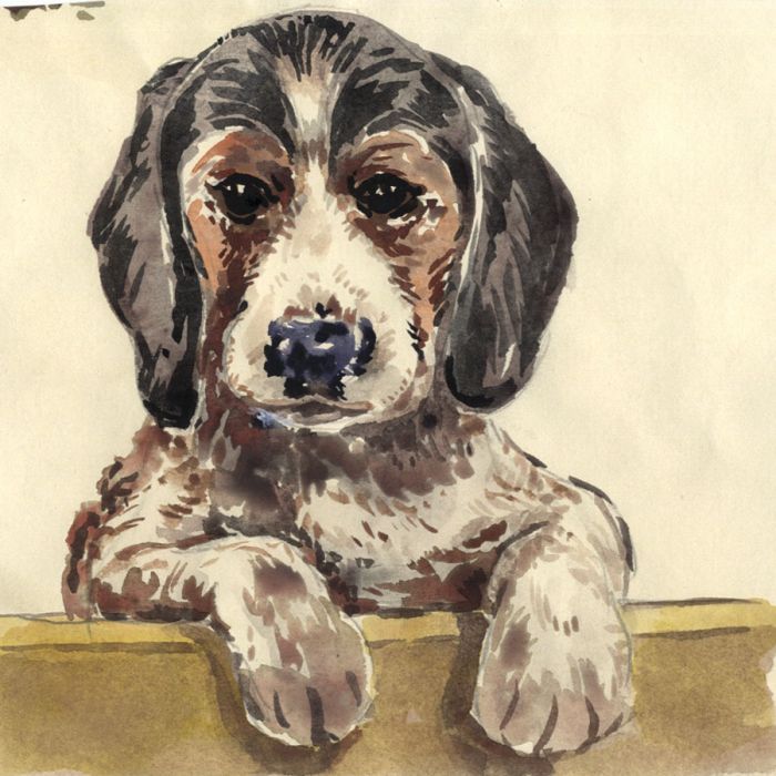 Keith Burtonshaw - Mid 20th Century Watercolour, Puppy