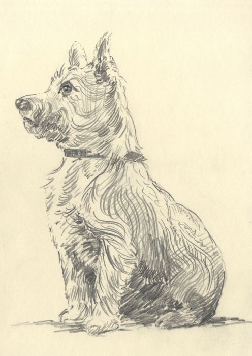 Keith Burtonshaw - Mid 20th Century Graphite Drawing, Terrier