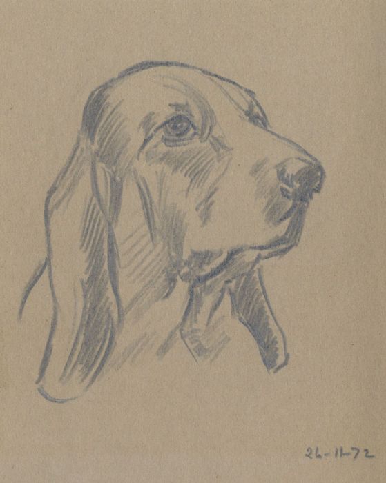 Keith Burtonshaw - 1972 Graphite Drawing, Basset Hound