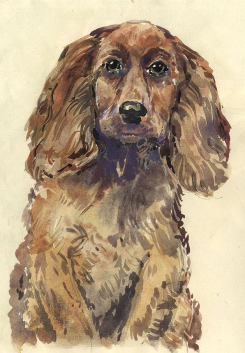 Keith Burtonshaw - Contemporary Watercolour, Spaniel