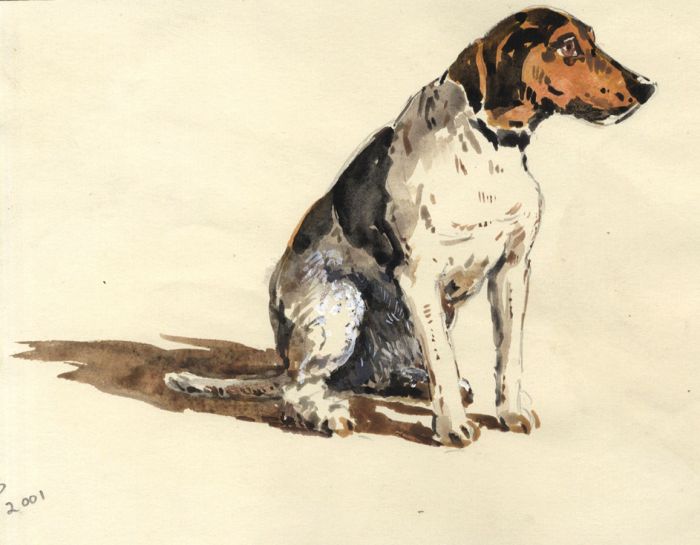 Keith Burtonshaw - 2001 Watercolour, Sitting Dog