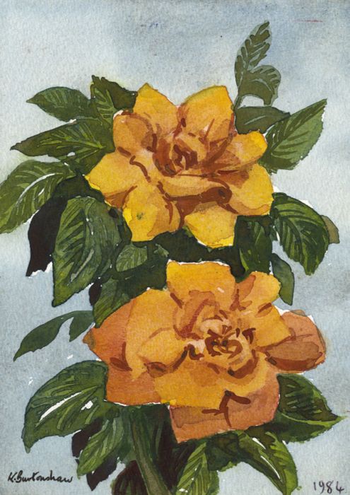 Keith Burtonshaw - 1984 Watercolour, Roses