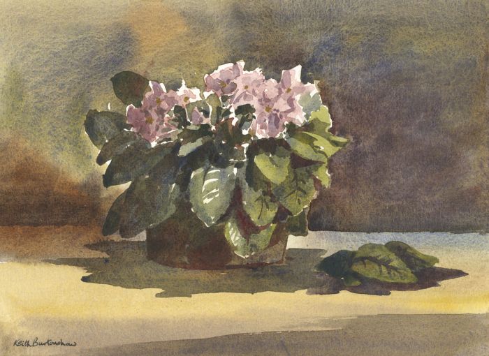 Keith Burtonshaw - 1991 Watercolour, Potted Plant