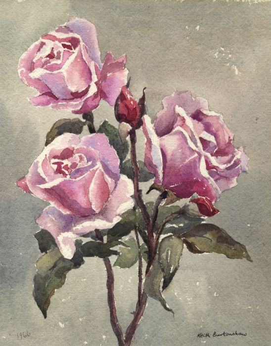 Keith Burtonshaw - 1966 Watercolour, Roses