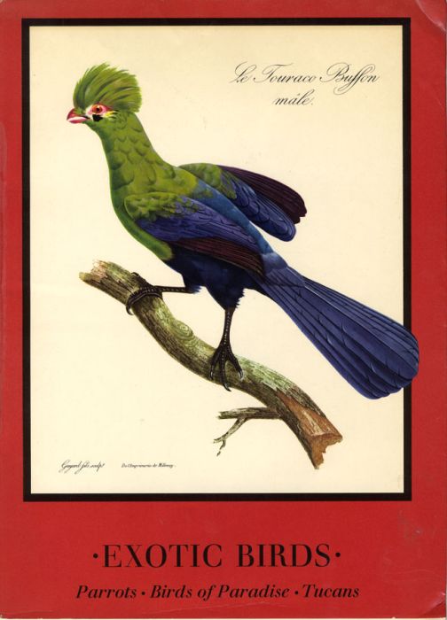 1963 Book - Exotic Birds: Parrots, Birds of Paradise, Tucans