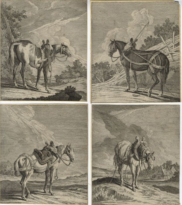 Set of 5 18th Century Engravings - Horses
