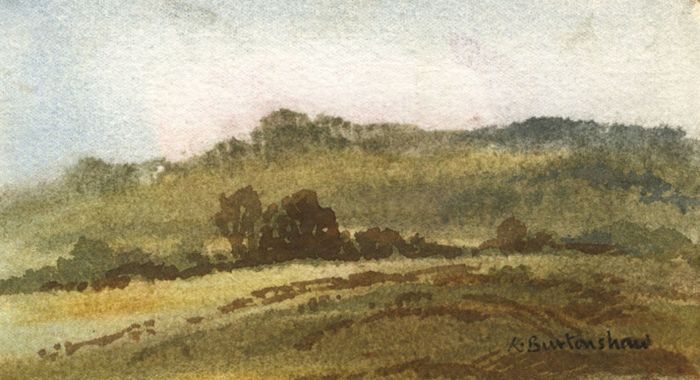 Keith Burtonshaw - Contemporary Watercolour, Rural Landscape