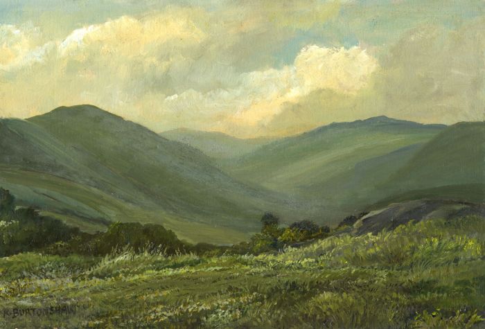 Keith Burtonshaw - Contemporary Oil, Landscape