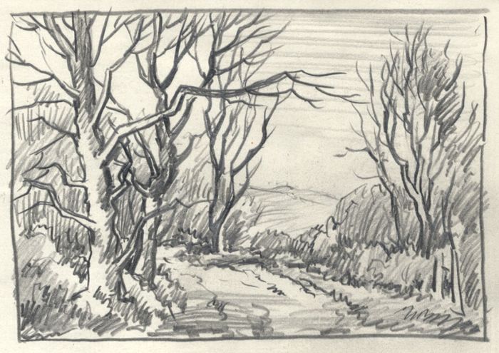 Keith Burtonshaw - Contemporary Graphite Drawing, Trees and Lane