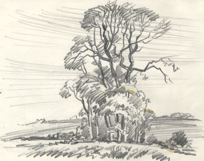 Keith Burtonshaw - Contemporary Graphite Drawing, Clump of Trees