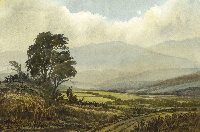 Keith Burtonshaw - Contemporary Watercolour, Duddon Valley, Cumbria
