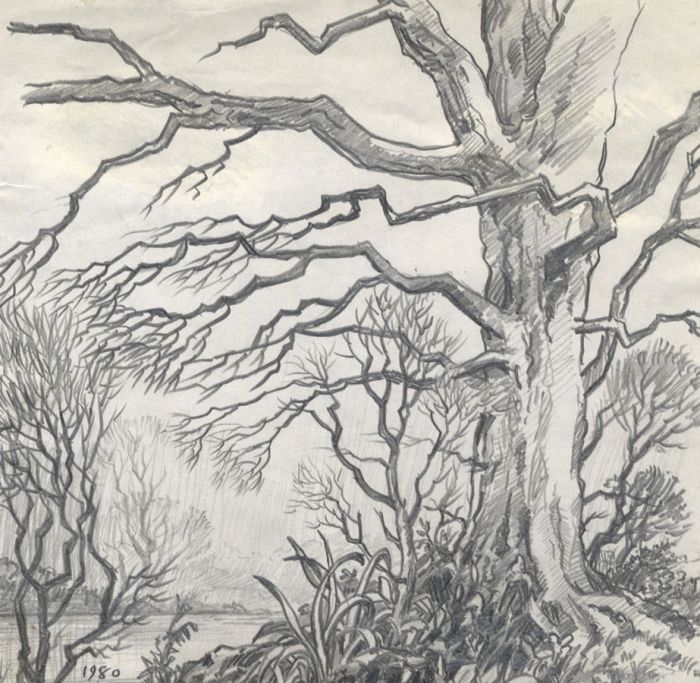 Keith Burtonshaw - 1980 Graphite Drawing, Trees
