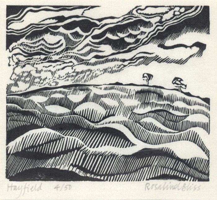 Rosalind Bliss - Contemporary Wood Engraving, Hayfield
