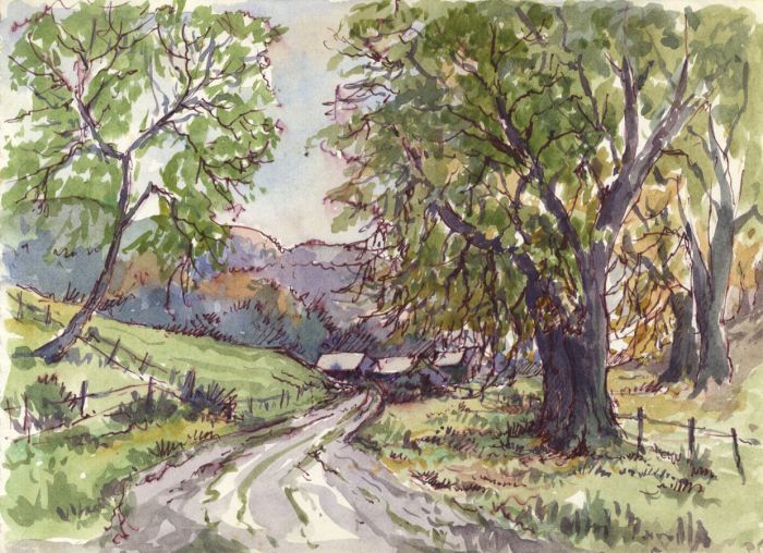 Peter H. Brown - Contemporary Watercolour, Lane, Isles of Scilly