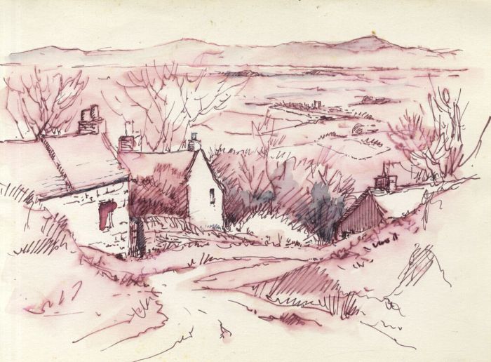 Peter H. Brown - Contemporary Pen and Ink Drawing, Houses and Lane