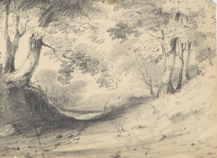 1846 Graphite Drawing - Wooded Path