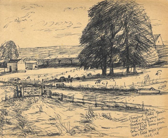 Fields Ink Drawing Early 20th Century Pen and Ink Drawing - Fields with Sheep