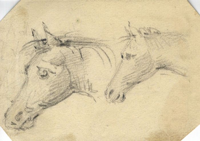 Small 19th Century Graphite Drawing - Two Horses